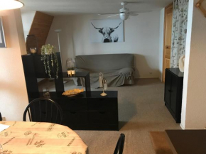 Appartement spacieux en montagne avec loggia, au cœur de la station, proche piste et lac - FR-1-814-62